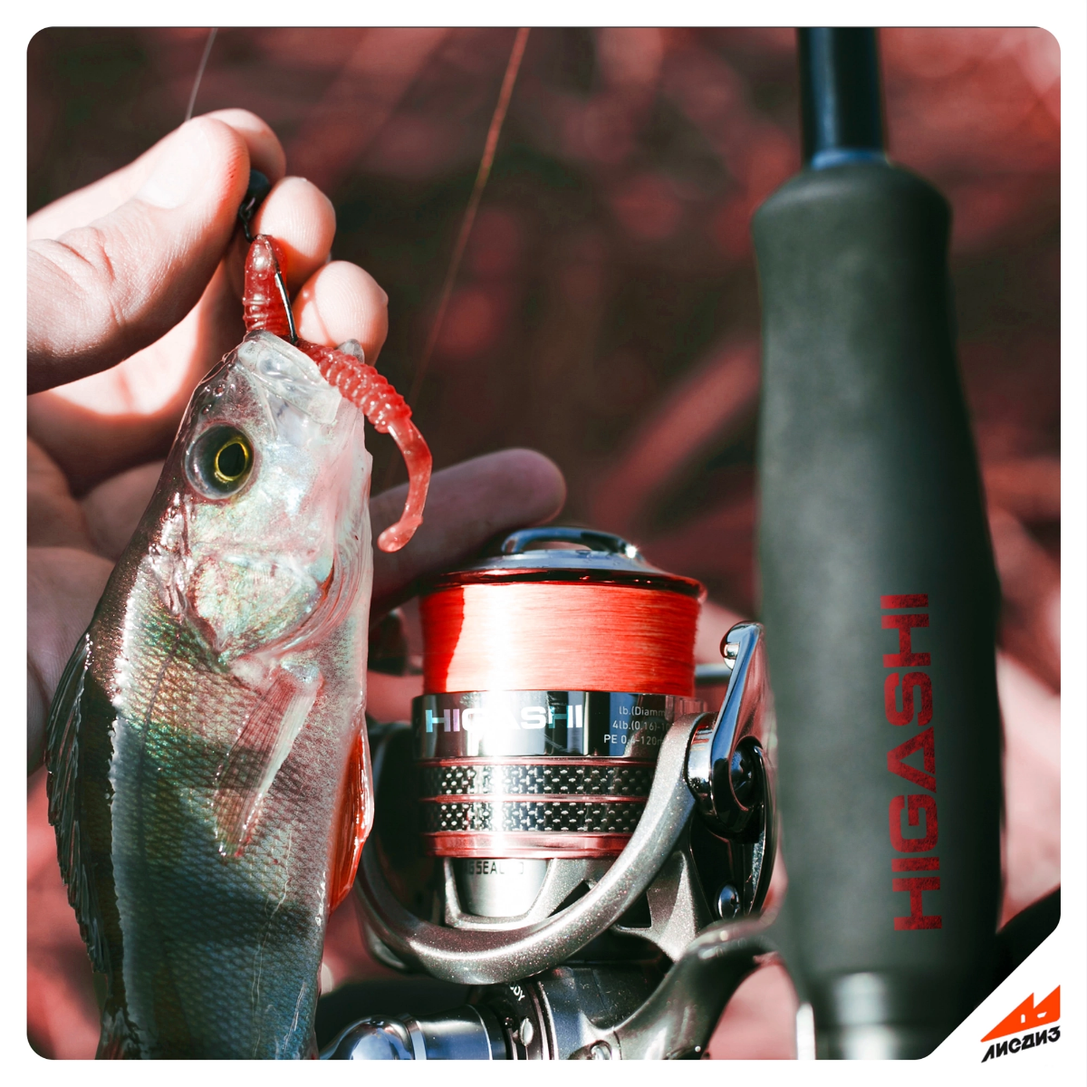 Разработали логотип для рыболовного бренда "HIGASHI" 🐟  
Для заказа
или консультации
пишите в сообщения группы ✨🦊  
#логотип #минимализ #рыбалка #товар #разработка #рыболовный #брендинг | Сетка — социальная сеть от hh.ru