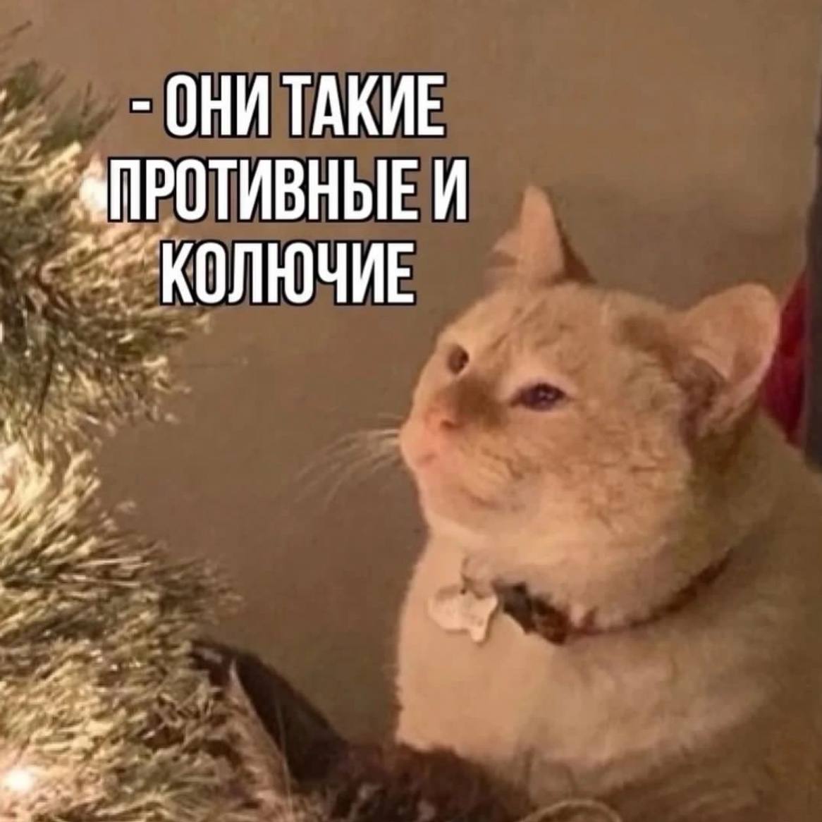 Я и попытки полюбить зиму хотя бы из-за празднования НГ | Сетка — социальная сеть от hh.ru