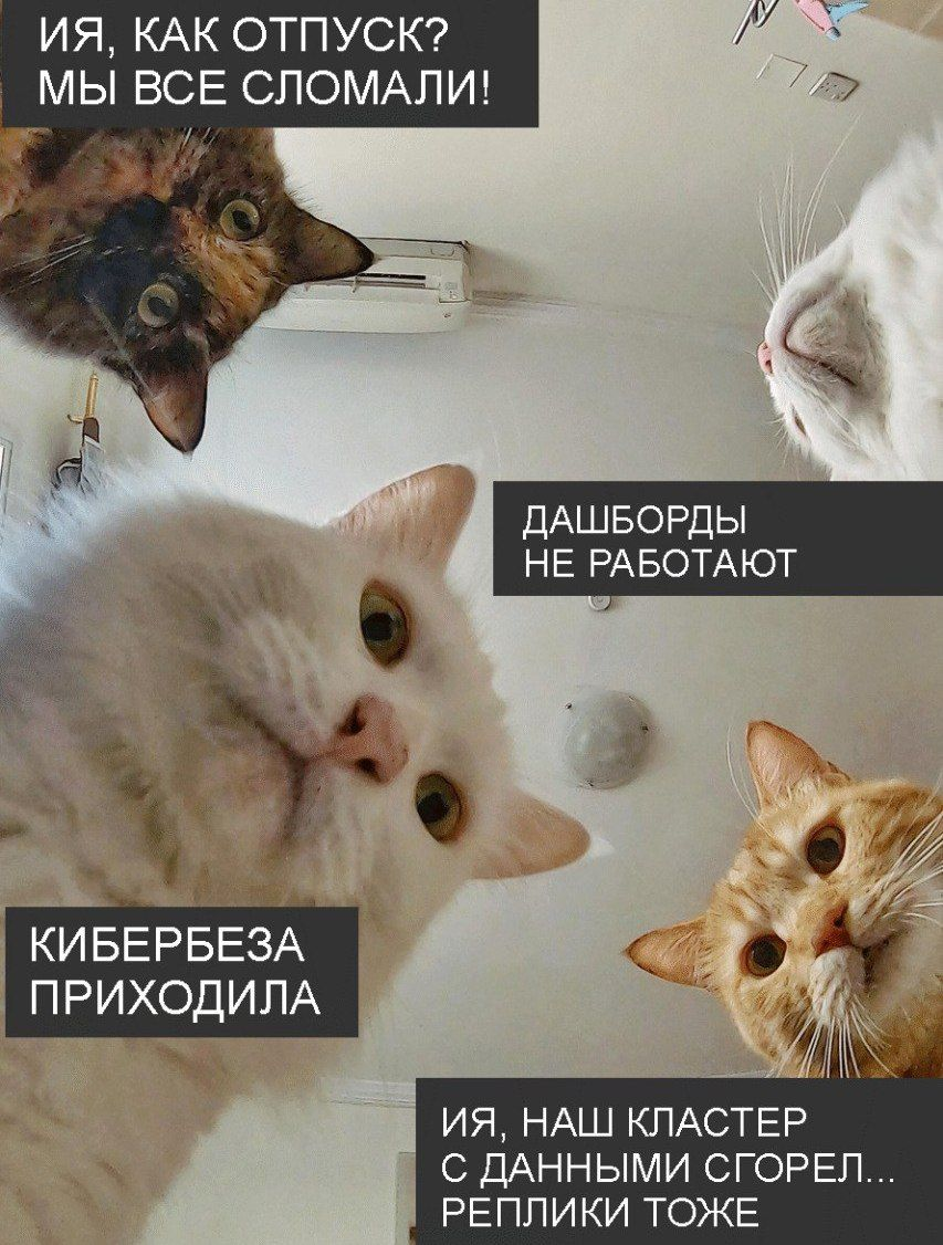 Коротко о том как страшно лиду ходить в отпуск | Сетка — социальная сеть от hh.ru