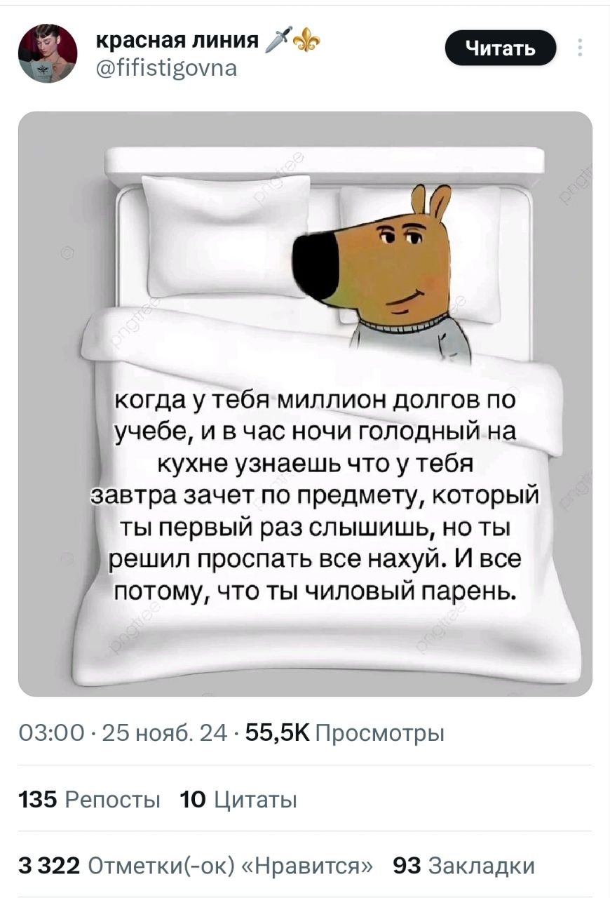 Чилловый парень — мем, которого нам всем не хватало. В соцсетях сейчас на хайпе пёс, олицетворяющий спокойствие и безмятежность в любых ситуациях | Сетка — социальная сеть от hh.ru