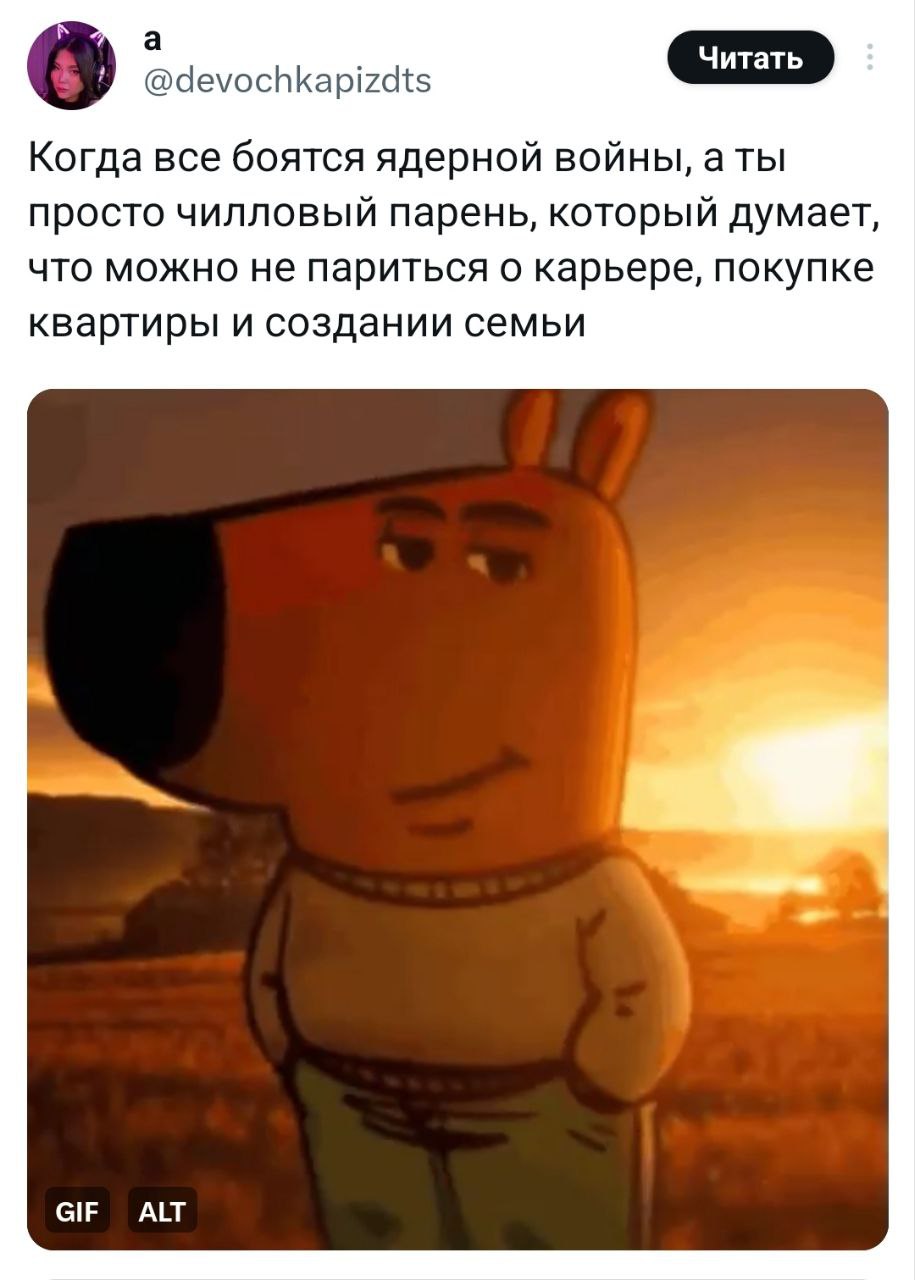 Чилловый парень — мем, которого нам всем не хватало. В соцсетях сейчас на хайпе пёс, олицетворяющий спокойствие и безмятежность в любых ситуациях | Сетка — социальная сеть от hh.ru