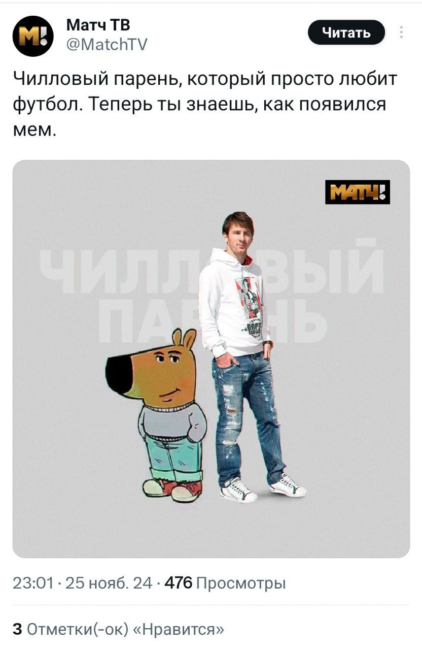 Чилловый парень — мем, которого нам всем не хватало. В соцсетях сейчас на хайпе пёс, олицетворяющий спокойствие и безмятежность в любых ситуациях | Сетка — социальная сеть от hh.ru