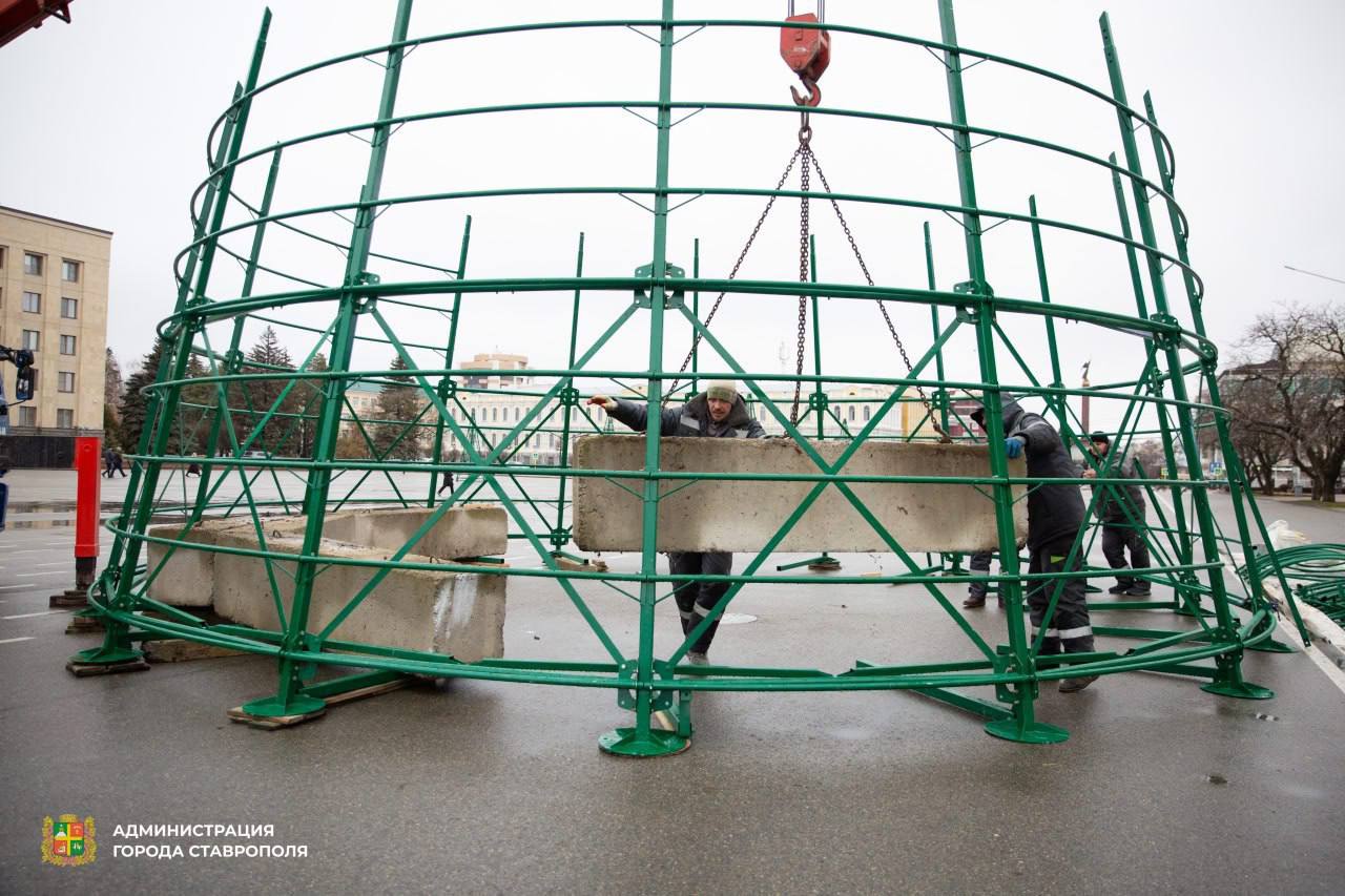 🎄Ставрополье продолжают украшать к Новому году
В краевой столице возводят «сказочный лес» из 34-х искусственных елей.
Параллельно завершается заливка льда на арене катка | Сетка — социальная сеть от hh.ru