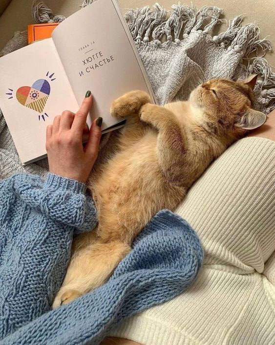 Я очень люблю уникальные и красивые вещи 💕
Недавно познакомилась с каналом Вишлист для дома и хочу искренне его порекомендовать | Сетка — социальная сеть от hh.ru