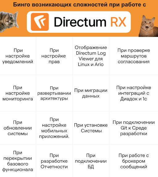 БУ! ИСПУГАЛСЯ? НЕ БОЙСЯ! Не бойся, я друг, я тебя не обижу. Иди сюда, вместе разберем возникающие сложности во время проектов по Directum RX | Сетка — социальная сеть от hh.ru