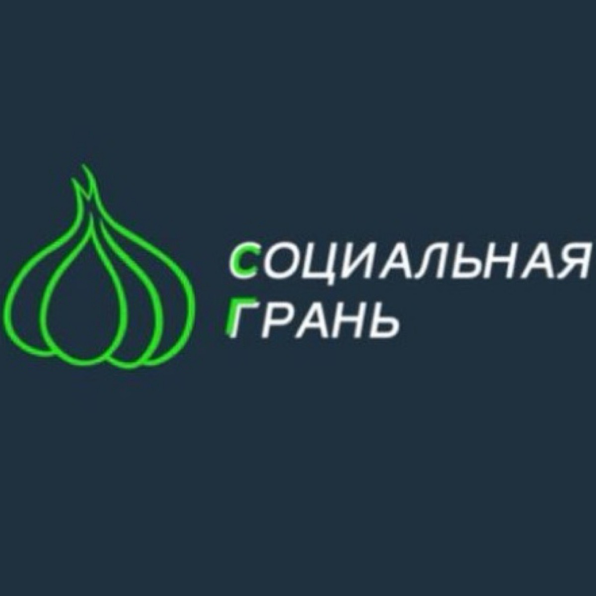 Оппозиционная общественно-политическая организация «СОЦИАЛЬНАЯ ГРАНЬ»