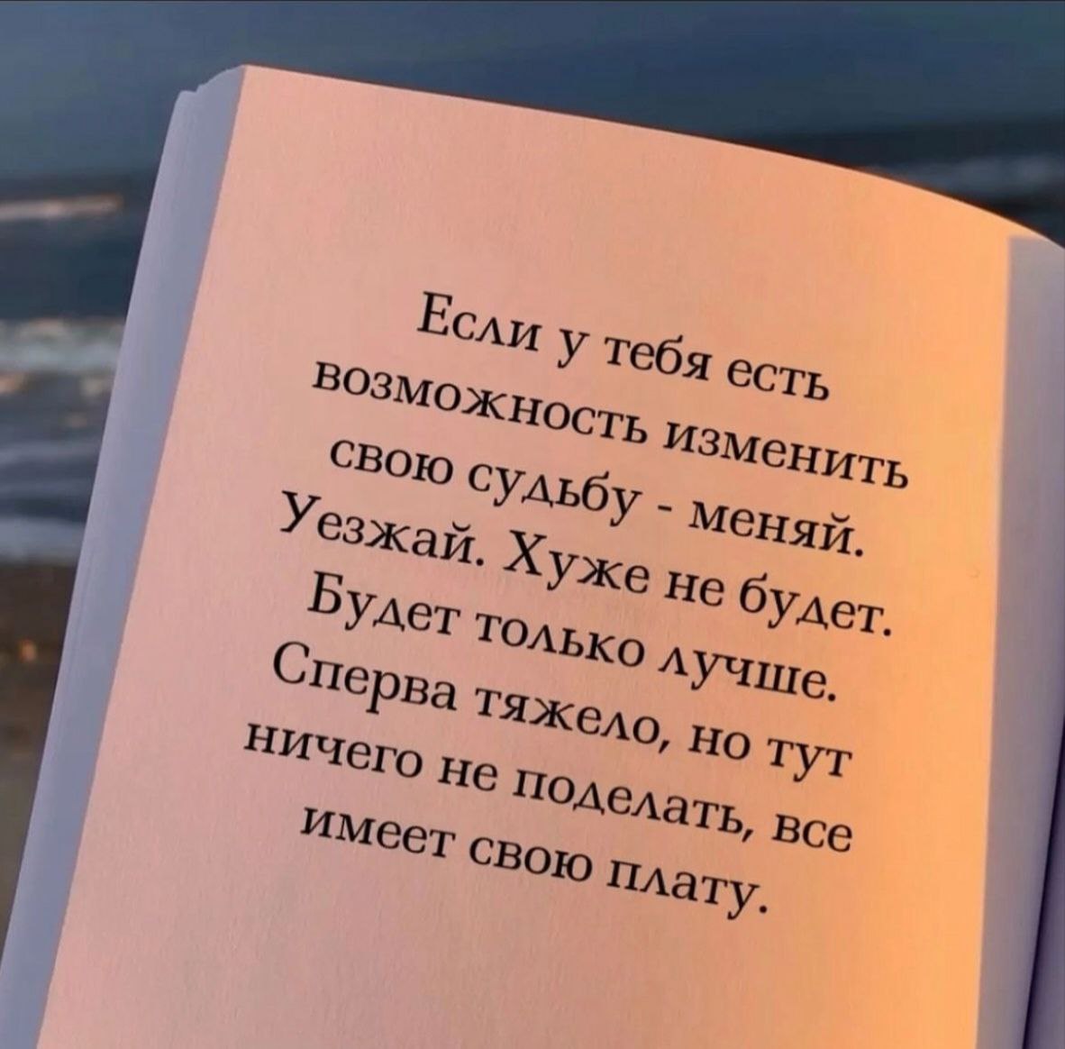 Мне понравились данные высказывания, хочу это оставить здесь | Сетка — социальная сеть от hh.ru
