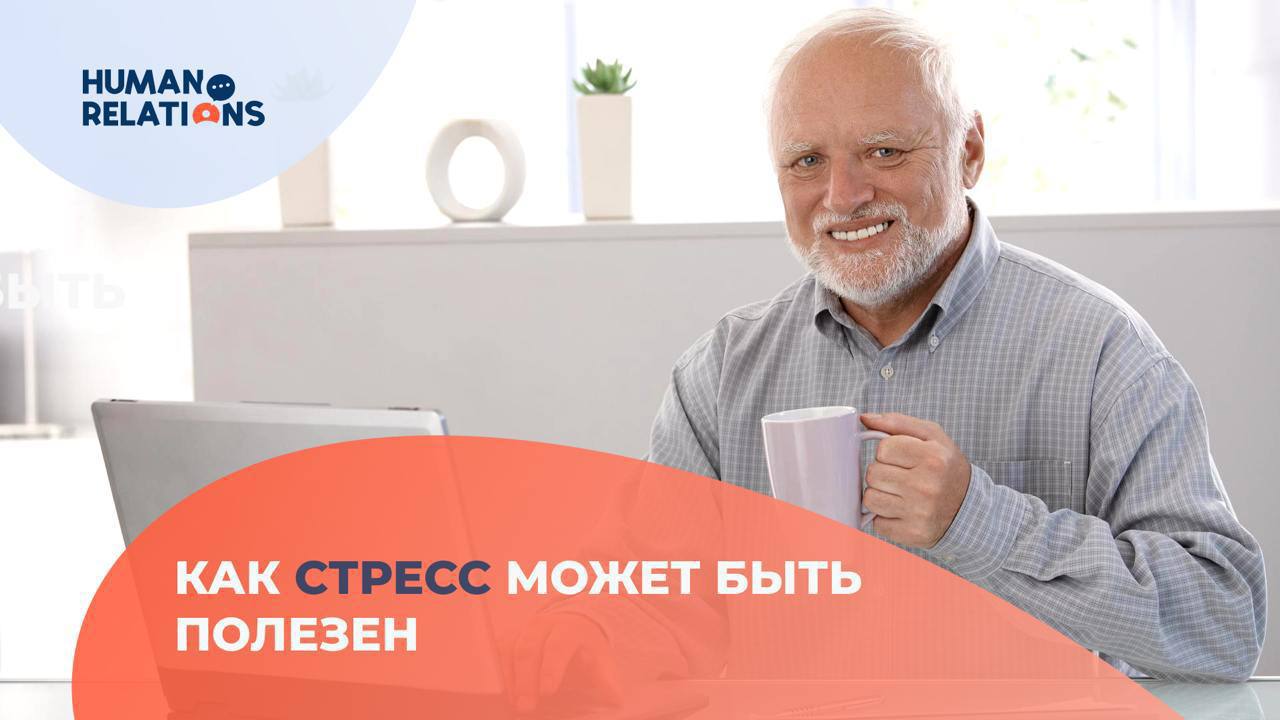 Соблюдаем панику и не поддаемся спокойствию
Стресс обычно воспринимается как нечто негативное. Но не весь стресс вреден | Сетка — социальная сеть от hh.ru