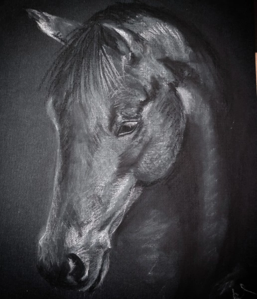 Немного ещё рисунков  
#рисунки #рисунок #скетч #пастель #пастэль #карандаш #sketch #art #арт | Сетка — социальная сеть от hh.ru