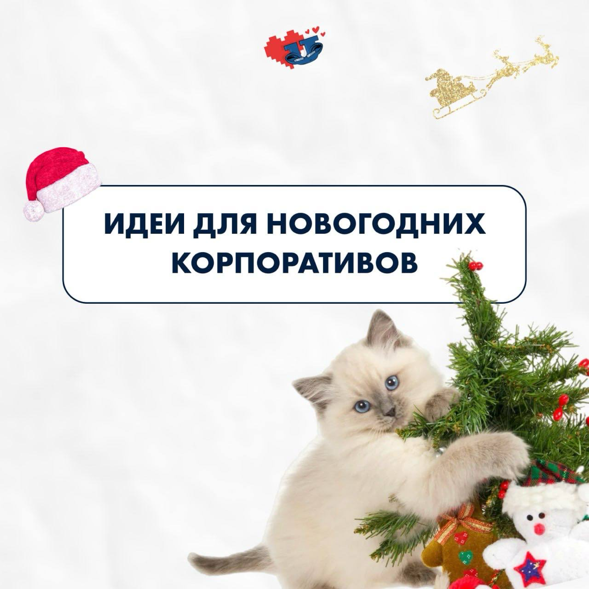 До Нового года осталось 35 дней 🎉 | Сетка — социальная сеть от hh.ru