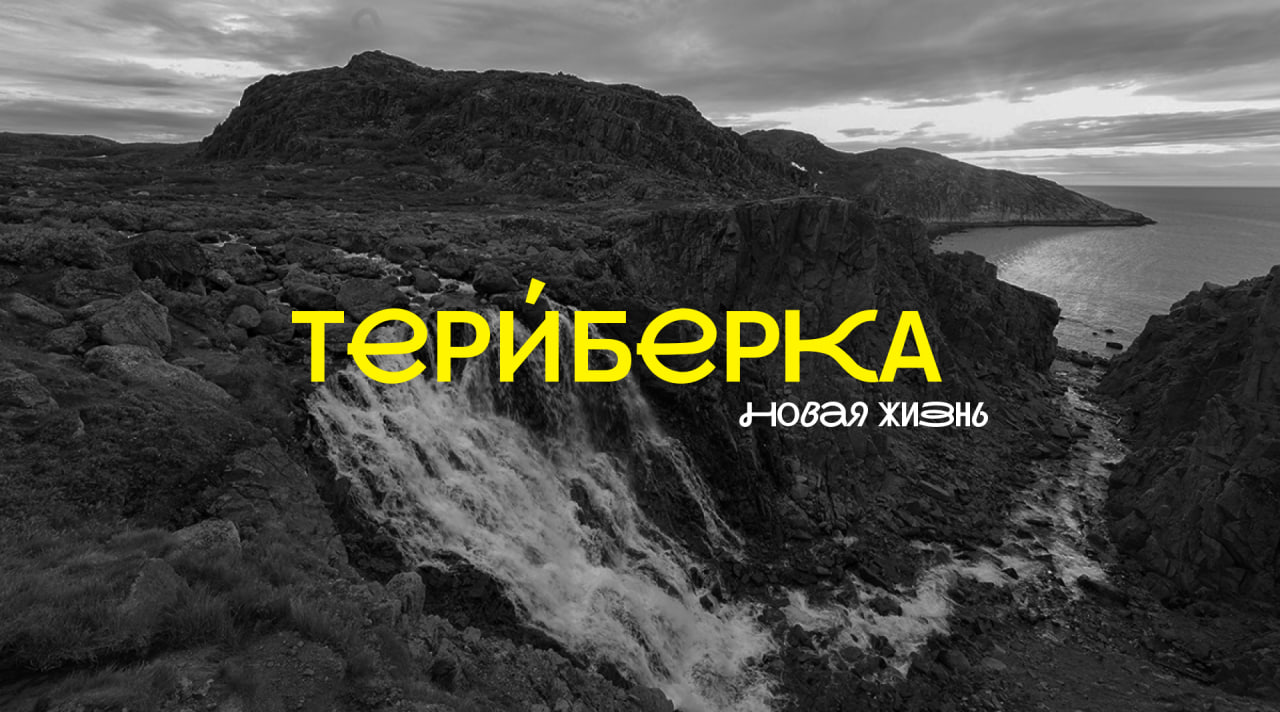 Фирменный стиль для фестиваля в Териберке
Раз в год на краю земли, в поселке Териберка на берегу Баренцева моря, проходит фестиваль. Там полярный день и северные сияния, киты и медведи | Сетка — социальная сеть от hh.ru