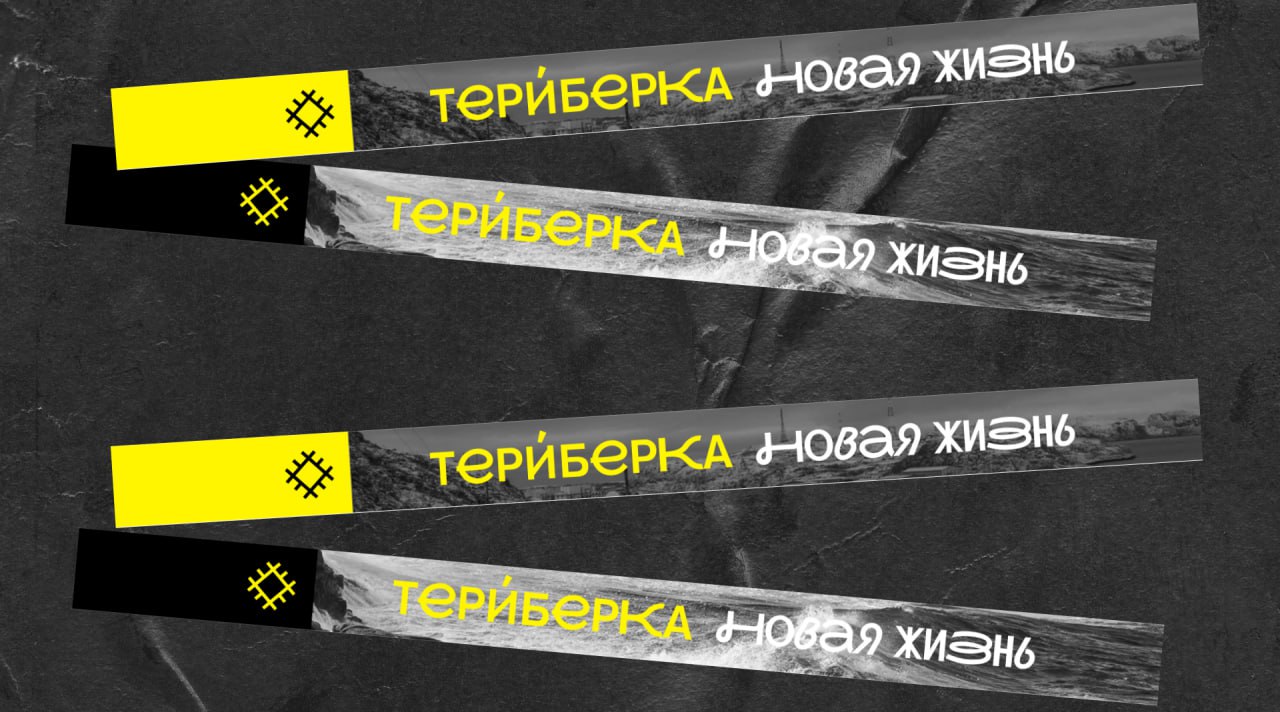 Фирменный стиль для фестиваля в Териберке
Раз в год на краю земли, в поселке Териберка на берегу Баренцева моря, проходит фестиваль. Там полярный день и северные сияния, киты и медведи | Сетка — социальная сеть от hh.ru