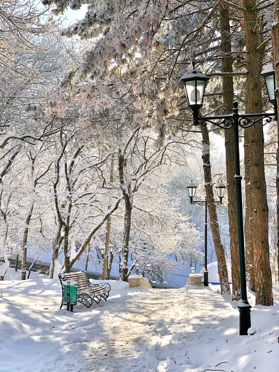 Снежная сказка 💫❄️
📍Курортная зона. Пятигорск.
📸Фотограф Артём Мелетов | Сетка — социальная сеть от hh.ru