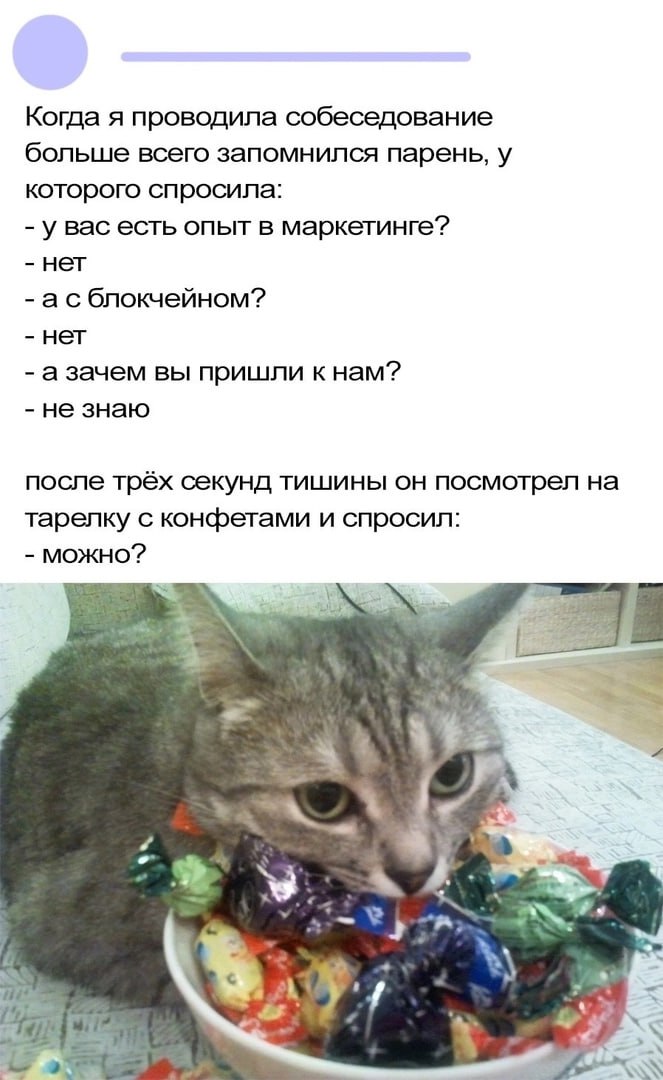 🔗 мемы в телеграм канале | Сетка — социальная сеть от hh.ru