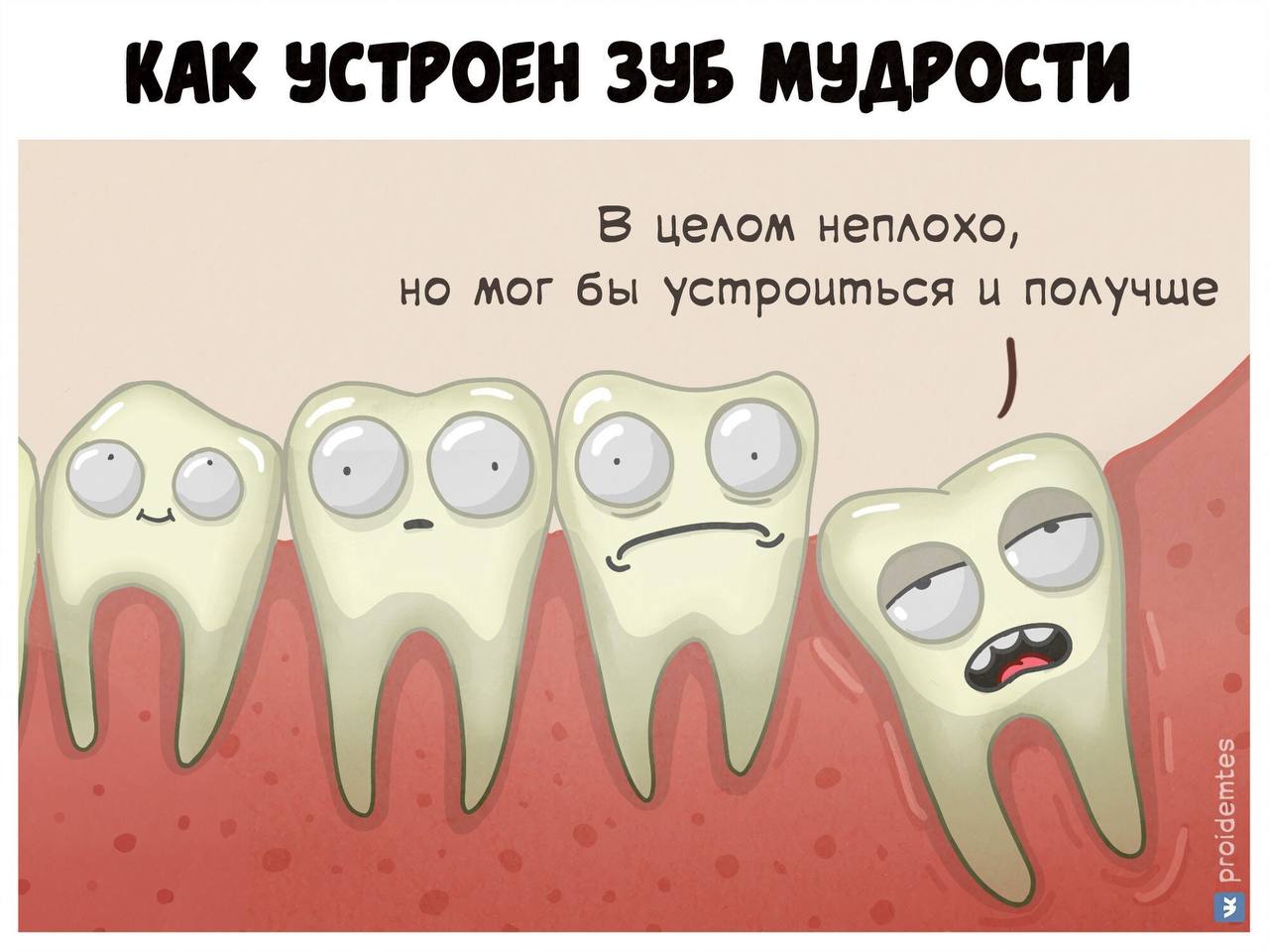 🔹еще зубам важна ТВЕРДАЯ пища: морковь, яблоко, сельдерей, редис…что угодно | Сетка — социальная сеть от hh.ru