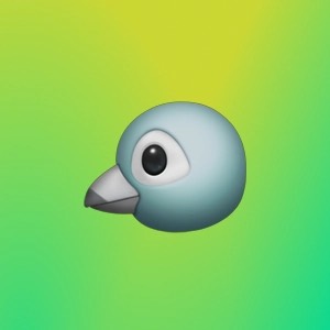 Павел Королёв | Сетка — социальная сеть от hh.ru