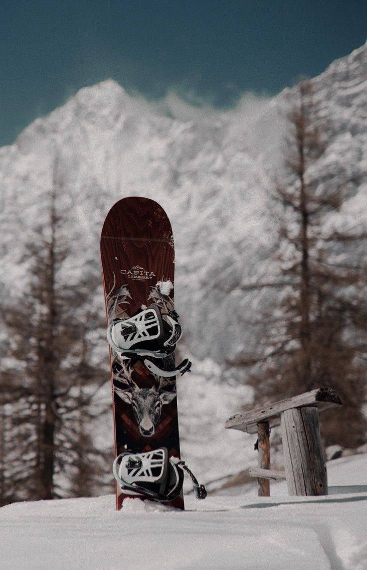 🏂Зимний спортивный фестиваль в «Лужниках»
С 1 декабря по 28 февраля
Вт-пт 12:00-00:00
Сб-вс 11:00-21:00
Сноуборды и тюбинги можно взять в прокат абсолютно бесплатно💥
На протяжении всего фестиваля, каж... | Сетка — социальная сеть от hh.ru