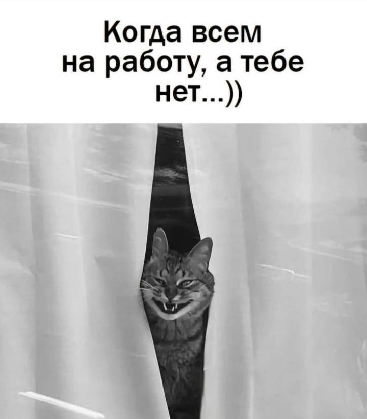 Сетка — социальная сеть от hh.ru