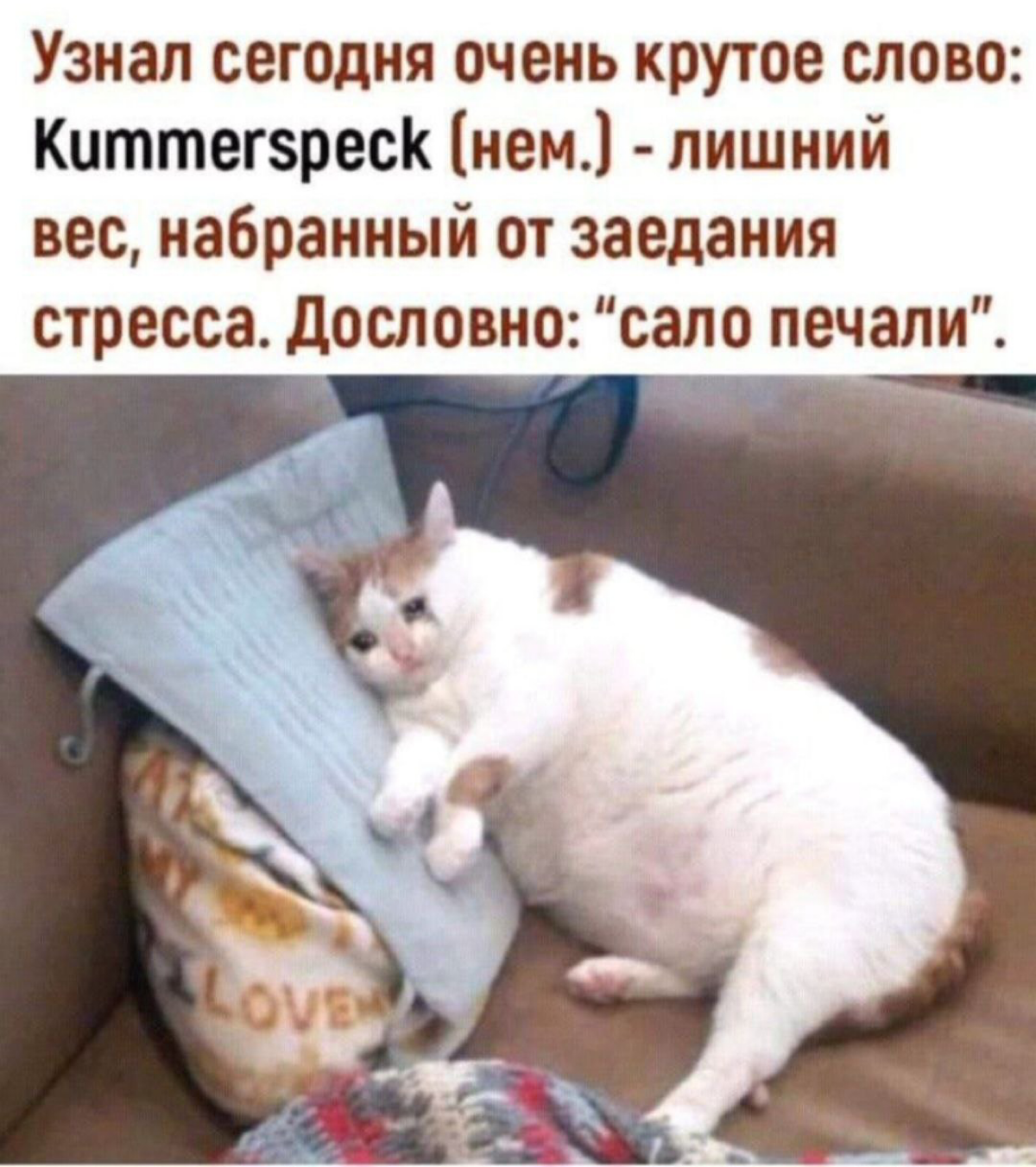🚀 Подписывайтесь в ТГ много мемов уже там 👉 https://t.me/hellogarag 🔥 | Сетка — социальная сеть от hh.ru