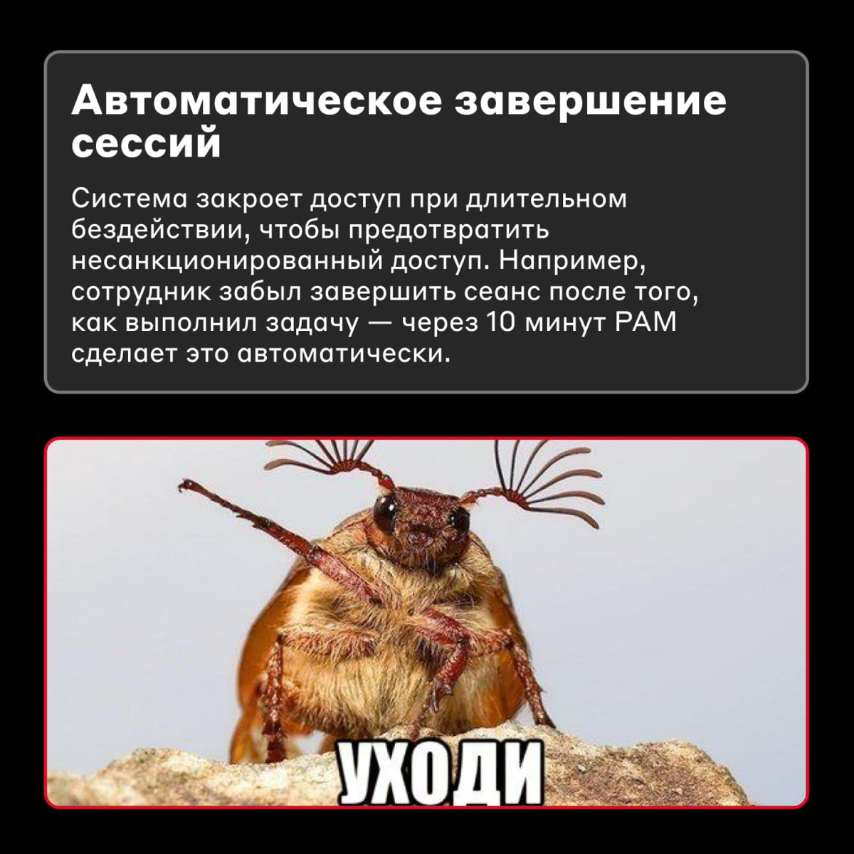 Нельзя просто так взять и войти в систему 🤔
Если через учётную запись можно получить доступ к критическим данным или ресурсам, то её логин и пароль нужно хранить в безопасности | Сетка — социальная сеть от hh.ru