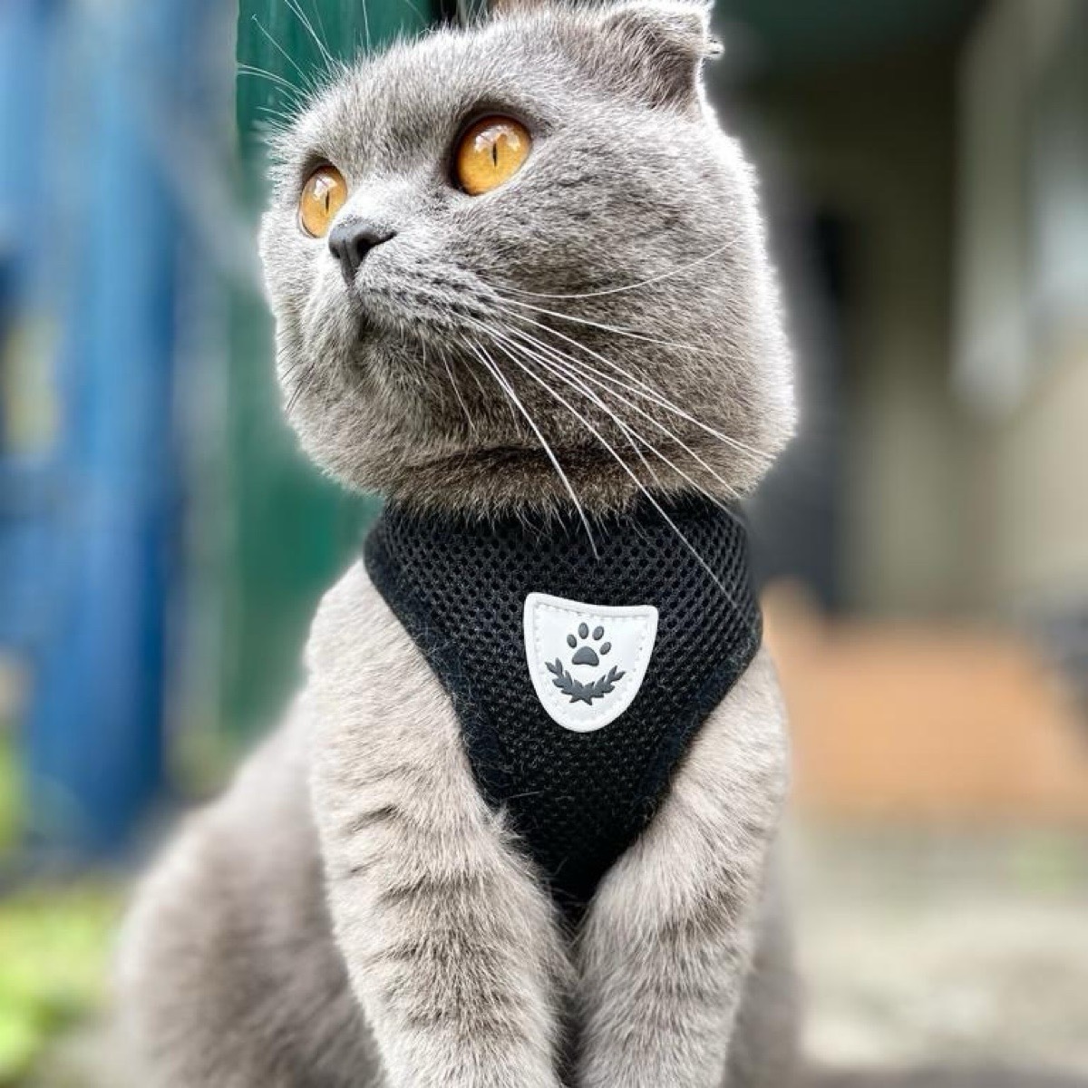 Алексей Петров | Сетка — социальная сеть от hh.ru