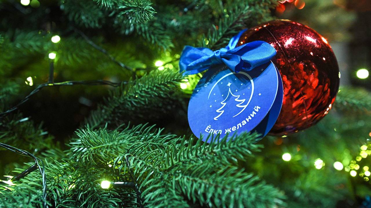 🎄 Ёлки желаний для детей участников СВО появятся по всему Ставрополью
С помощью такой акции каждый желающий может исполнить мечты детей | Сетка — социальная сеть от hh.ru