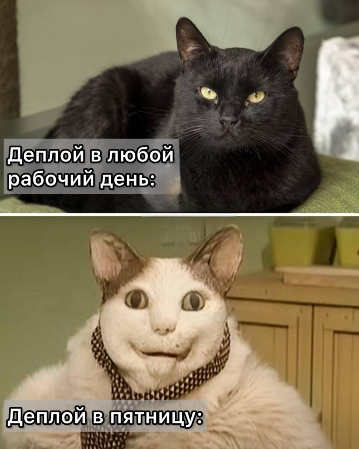 Мы вернулись, чтобы напомнить, что нужно избегать сегодня. Хорошей пятнички | Сетка — социальная сеть от hh.ru