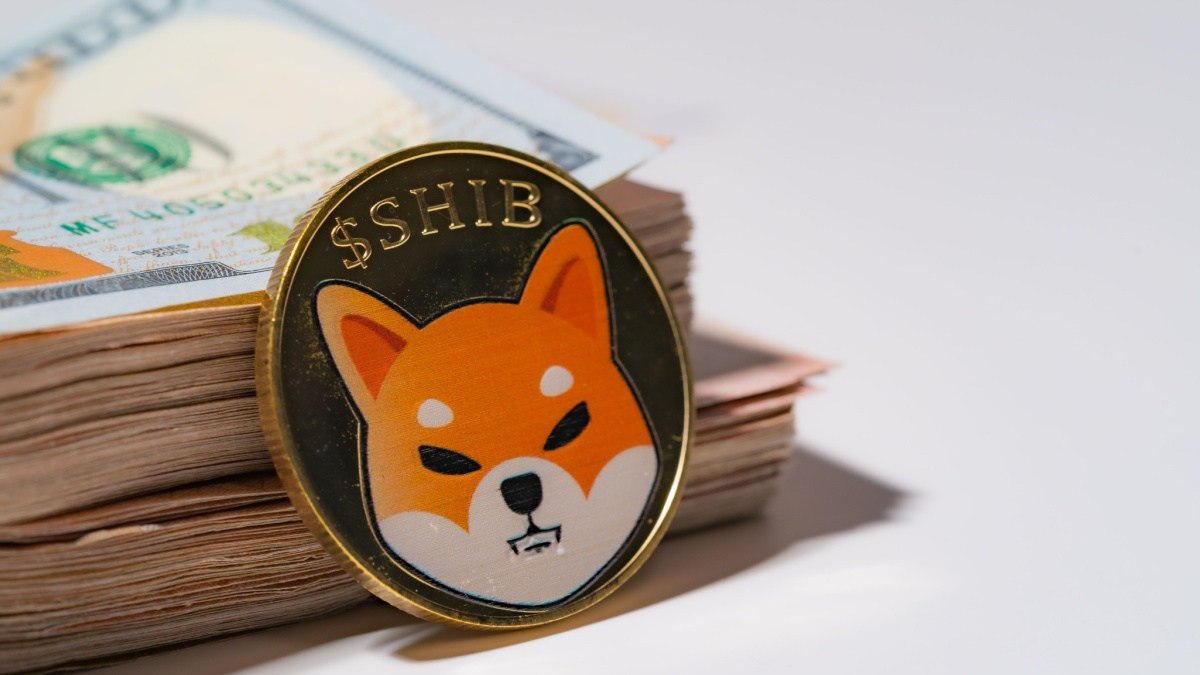 ChatGPT предсказал, сколько будет стоить Shiba Inu 1 декабря | Сетка — социальная сеть от hh.ru