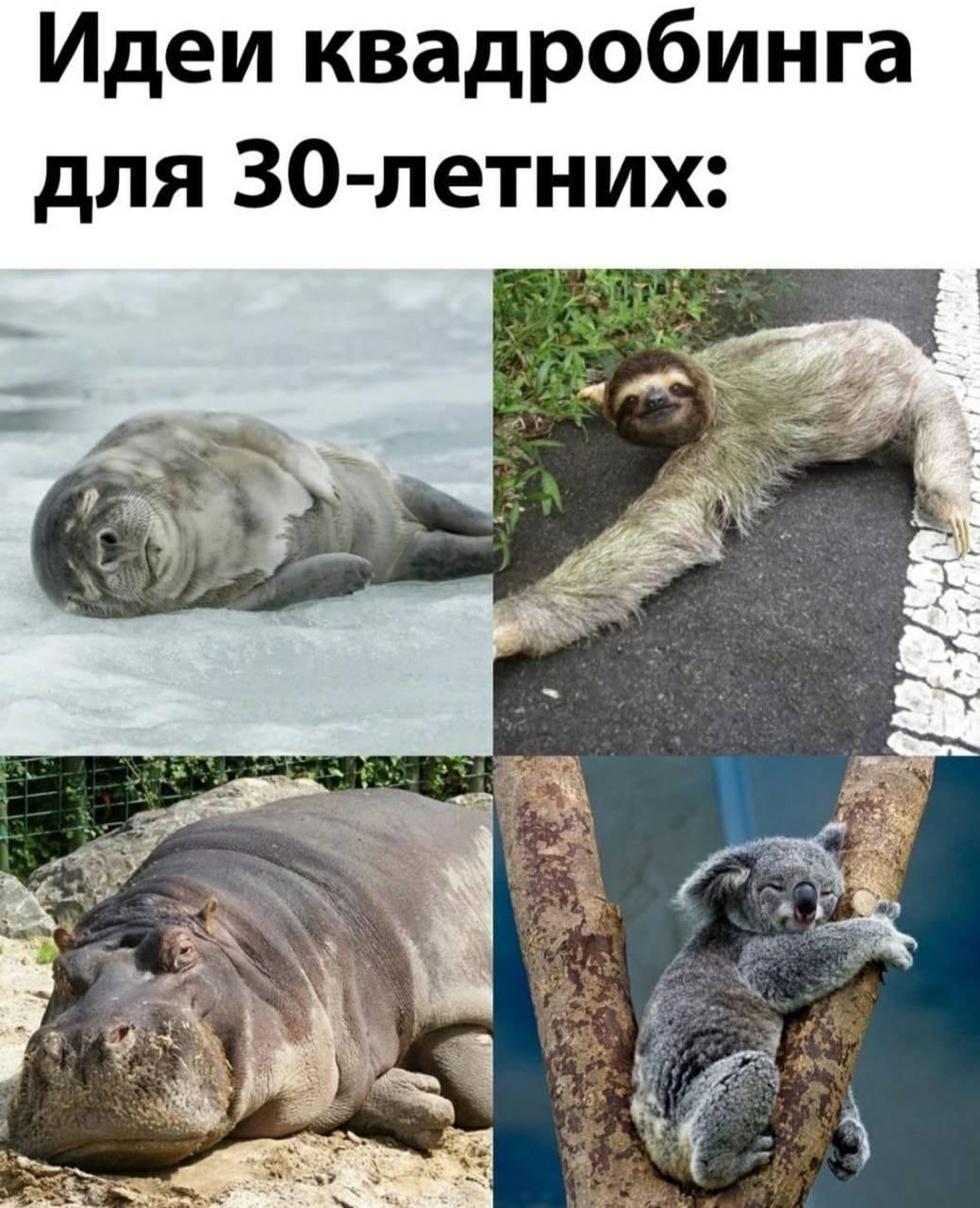 Настроение ноября
#пятничное@yellownote | Сетка — социальная сеть от hh.ru
