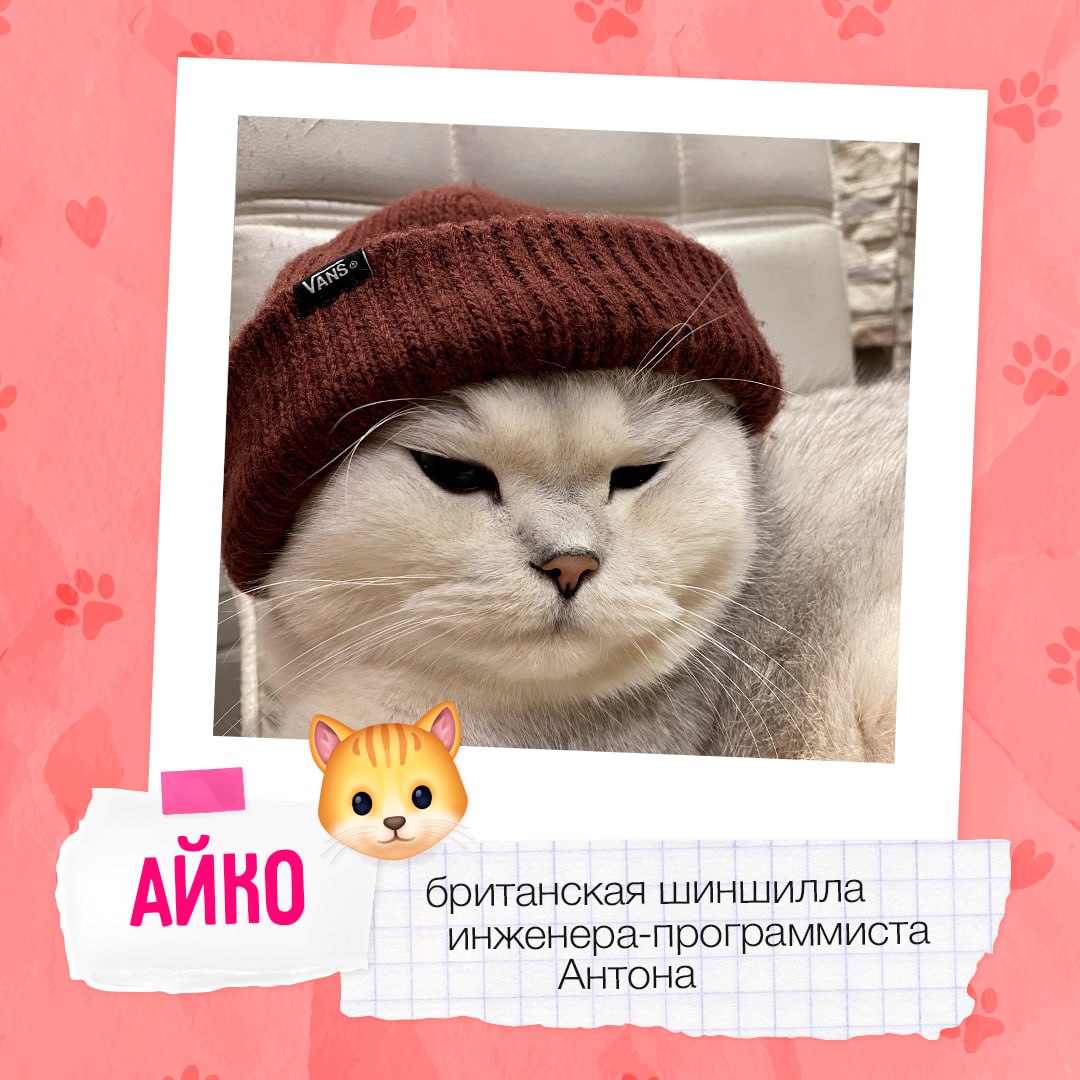 Знакомимся с пушистыми друзьями #BellintegratorTeam 🩷
Завтра, 30 ноября, отмечается Всемирный день домашних животных | Сетка — социальная сеть от hh.ru