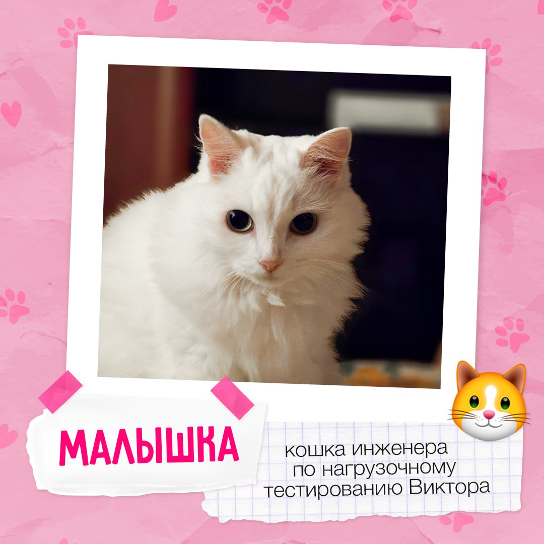Знакомимся с пушистыми друзьями #BellintegratorTeam 🩷
Завтра, 30 ноября, отмечается Всемирный день домашних животных | Сетка — социальная сеть от hh.ru