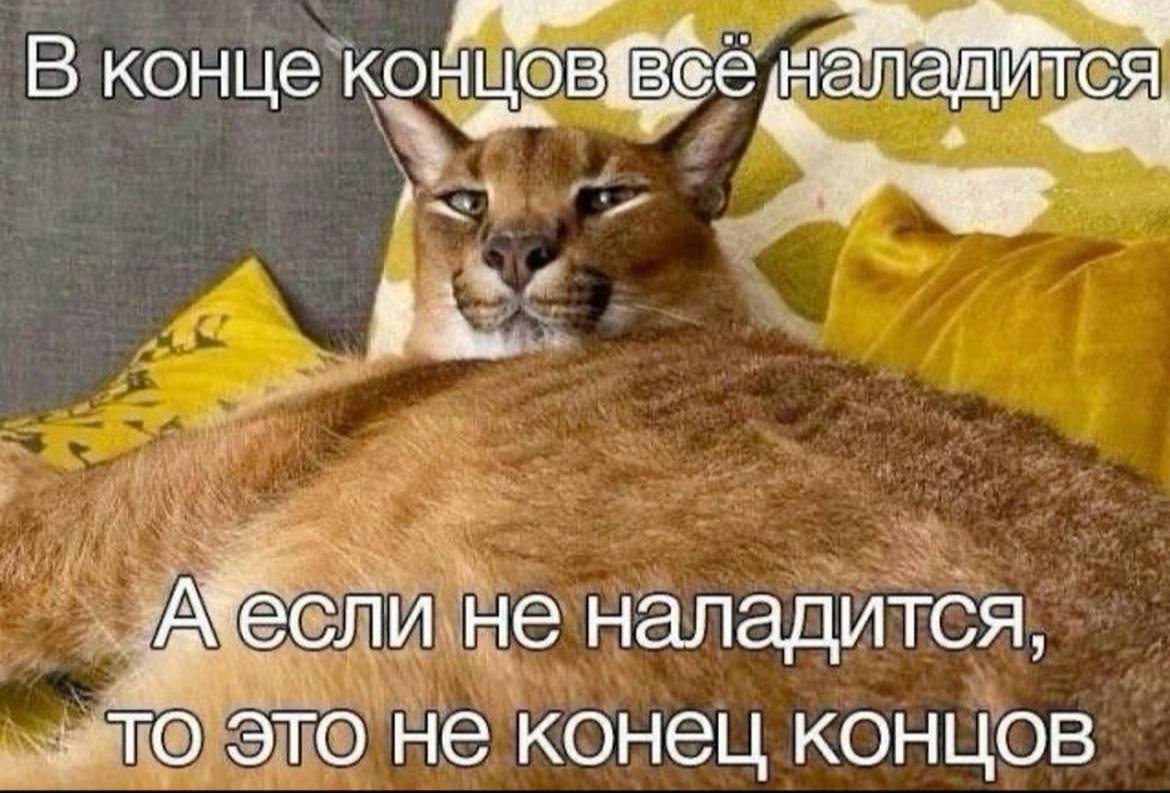 Немного пятничной мотивации | Сетка — социальная сеть от hh.ru