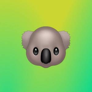 Николай Хмель | Сетка — социальная сеть от hh.ru