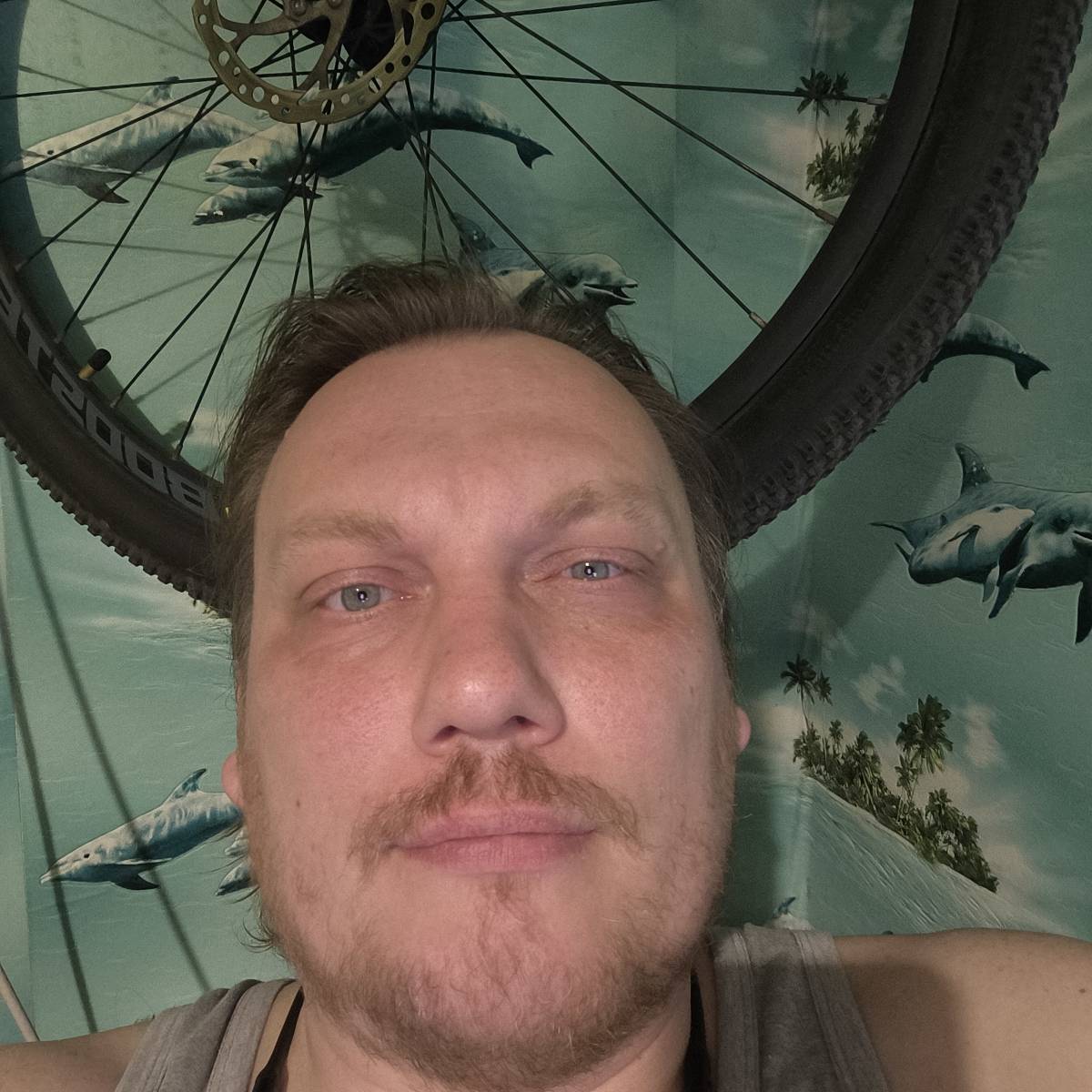 Константин Полищук | Сетка — социальная сеть от hh.ru