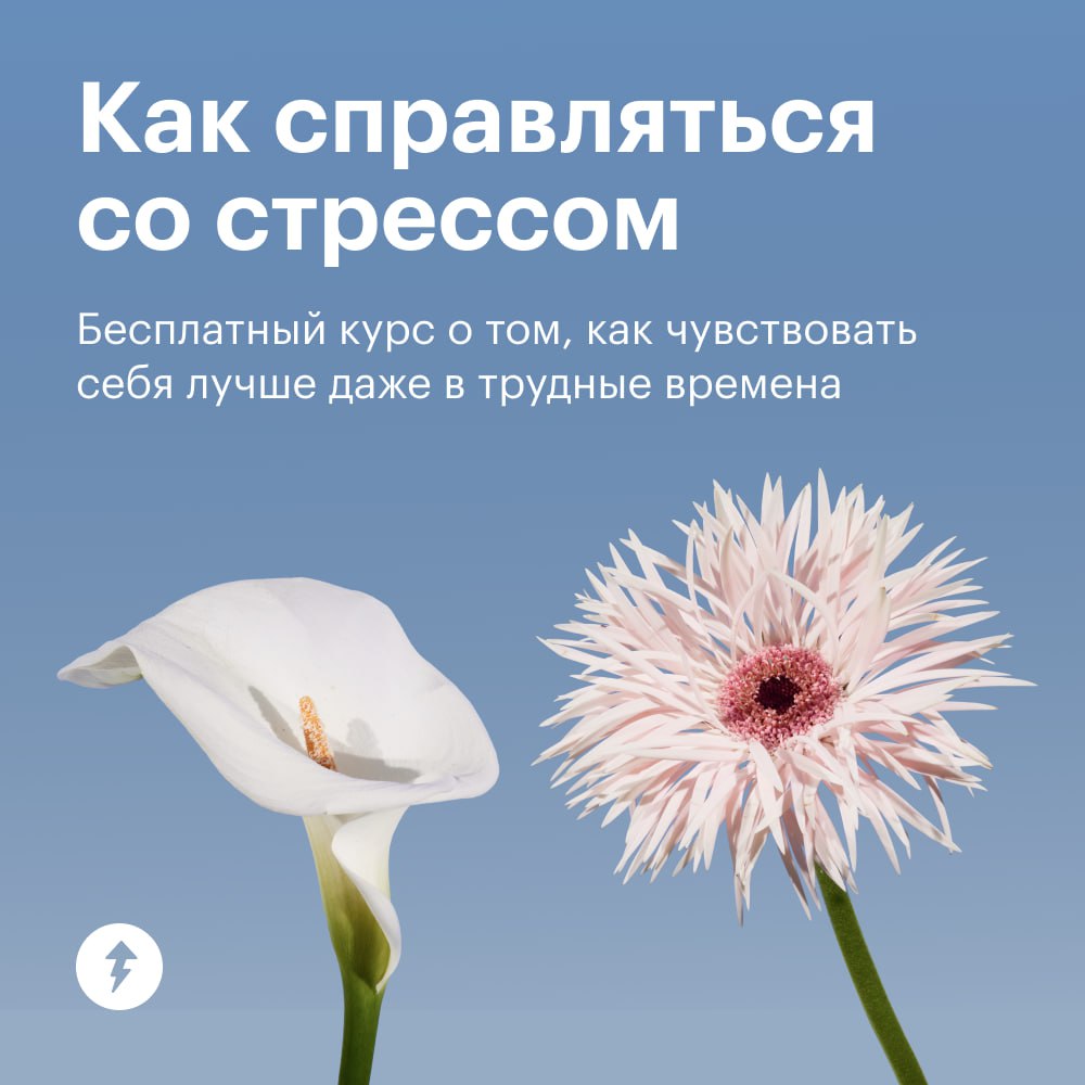 Если бы конец ноября был курсом Учебника…
…То это был бы курс «Как бороться со стрессом».
По статистике, люди набирают в поисковиках «стресс» в ноябре в два раза чаще, чем в июле | Сетка — социальная сеть от hh.ru