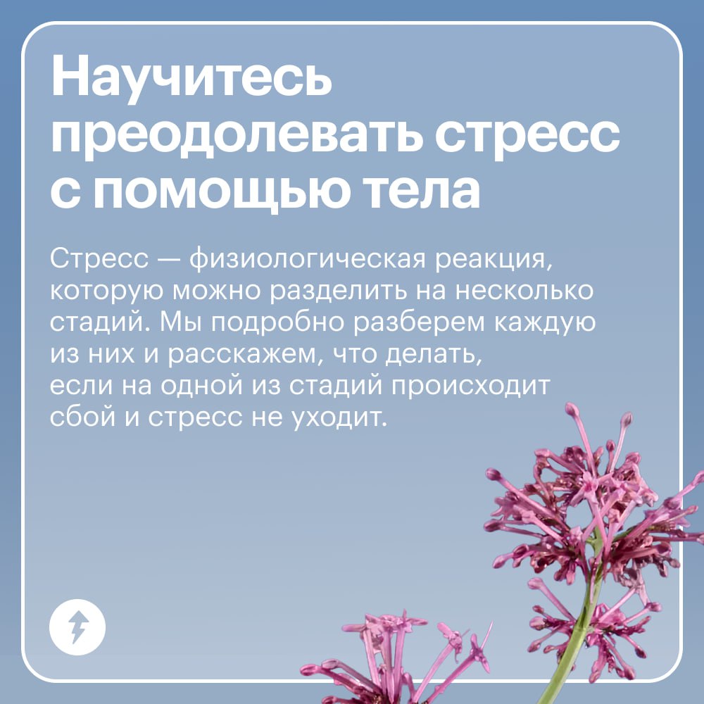 Если бы конец ноября был курсом Учебника…
…То это был бы курс «Как бороться со стрессом».
По статистике, люди набирают в поисковиках «стресс» в ноябре в два раза чаще, чем в июле | Сетка — социальная сеть от hh.ru