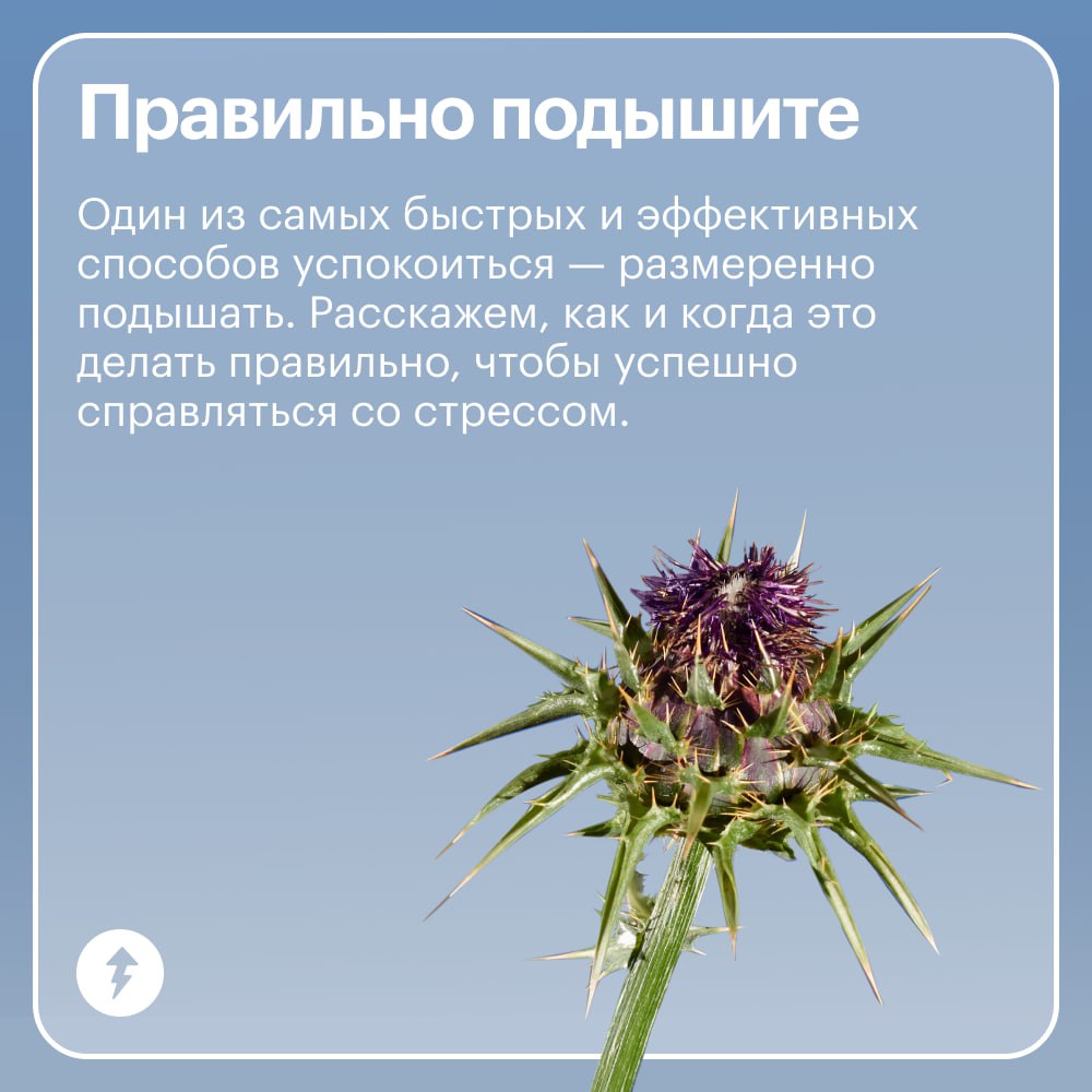 Если бы конец ноября был курсом Учебника…
…То это был бы курс «Как бороться со стрессом».
По статистике, люди набирают в поисковиках «стресс» в ноябре в два раза чаще, чем в июле | Сетка — социальная сеть от hh.ru
