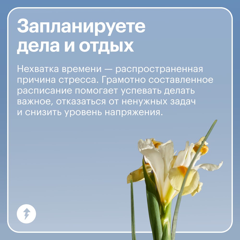 Если бы конец ноября был курсом Учебника…
…То это был бы курс «Как бороться со стрессом».
По статистике, люди набирают в поисковиках «стресс» в ноябре в два раза чаще, чем в июле | Сетка — социальная сеть от hh.ru