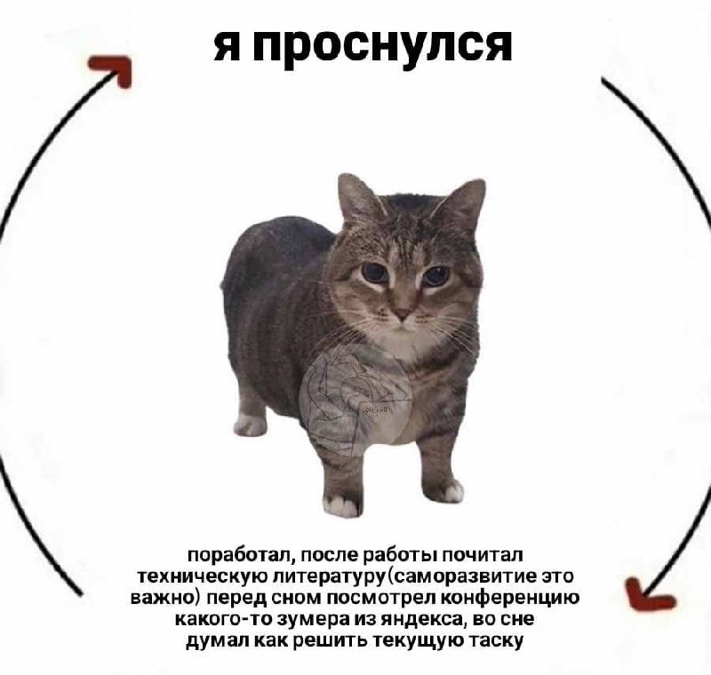 А спал ли вообще?
🚀@itaxaxa | Сетка — социальная сеть от hh.ru