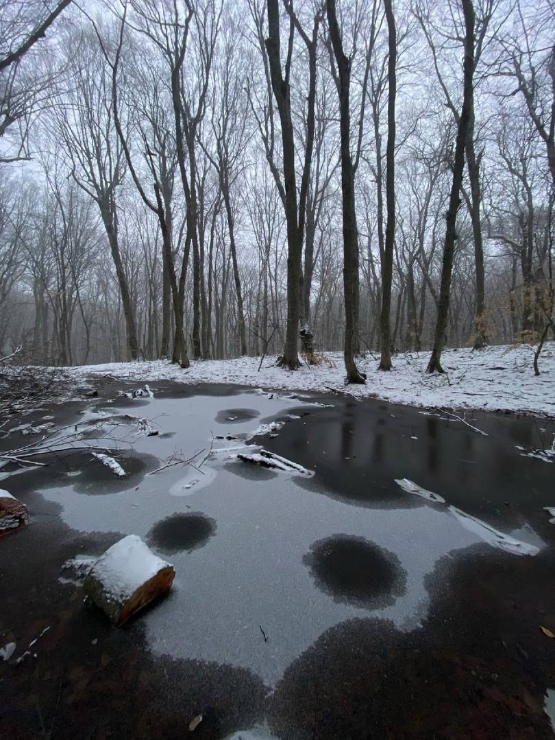 Мистический лес Бештау
📷 Fireastra
@stavropolyevibe | Сетка — социальная сеть от hh.ru