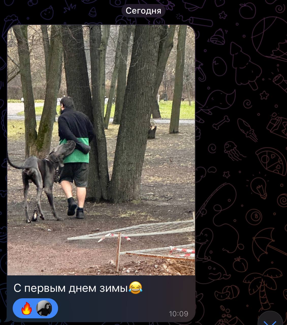 Прислала подруга. Считаю, что это лучшая открытка! Хорошая зима, а не вот это вот всё😂 | Сетка — социальная сеть от hh.ru