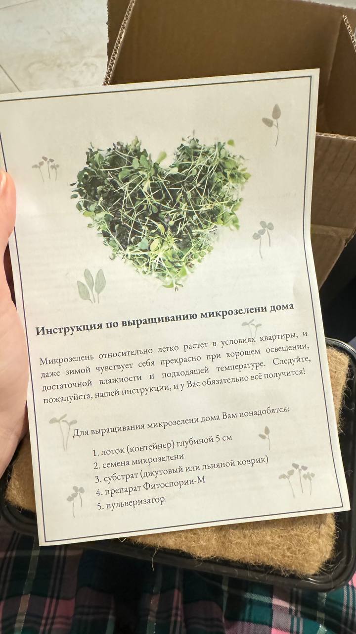 Девочка: покупает в чёрную пятницу красивые платья и косметику
Сильная и независимая женщина: наборы для выращивания микрозелени. | Сетка — социальная сеть от hh.ru