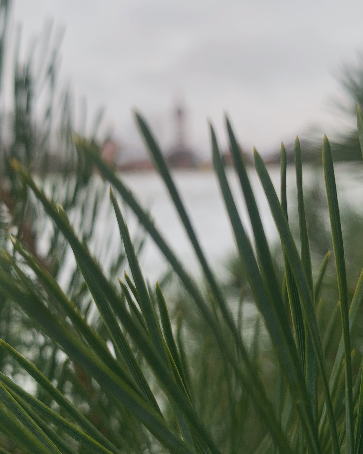 Декабрь: время писать текст, который продаст, как новогодние подарки! 🎁✨  
Все мы знаем, что хороший продающий текст — это как ваша любимая шляпа: он должен выглядеть привлекательно, «сидеть» идеально... | Сетка — социальная сеть от hh.ru