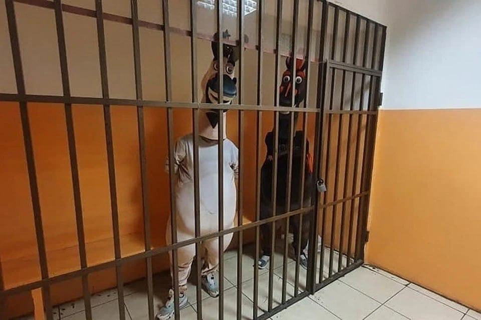 Что общего у Елены Блиновской, Роберта Дауни и осла? | Сетка — социальная сеть от hh.ru