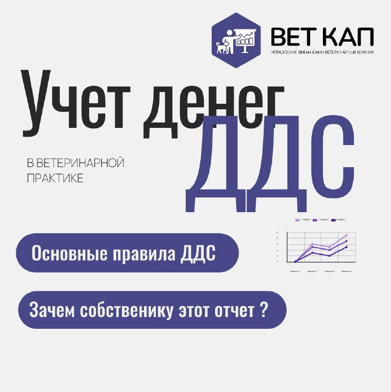 Как начать вести учет денег в ветеринарной клинике? 📈 (Отчет ДДС)
Для чего он нужен и как его вести?
Я часто общаюсь с собственниками ветеринарных клиник, и у небольших и средних предпринимателей с об... | Сетка — социальная сеть от hh.ru