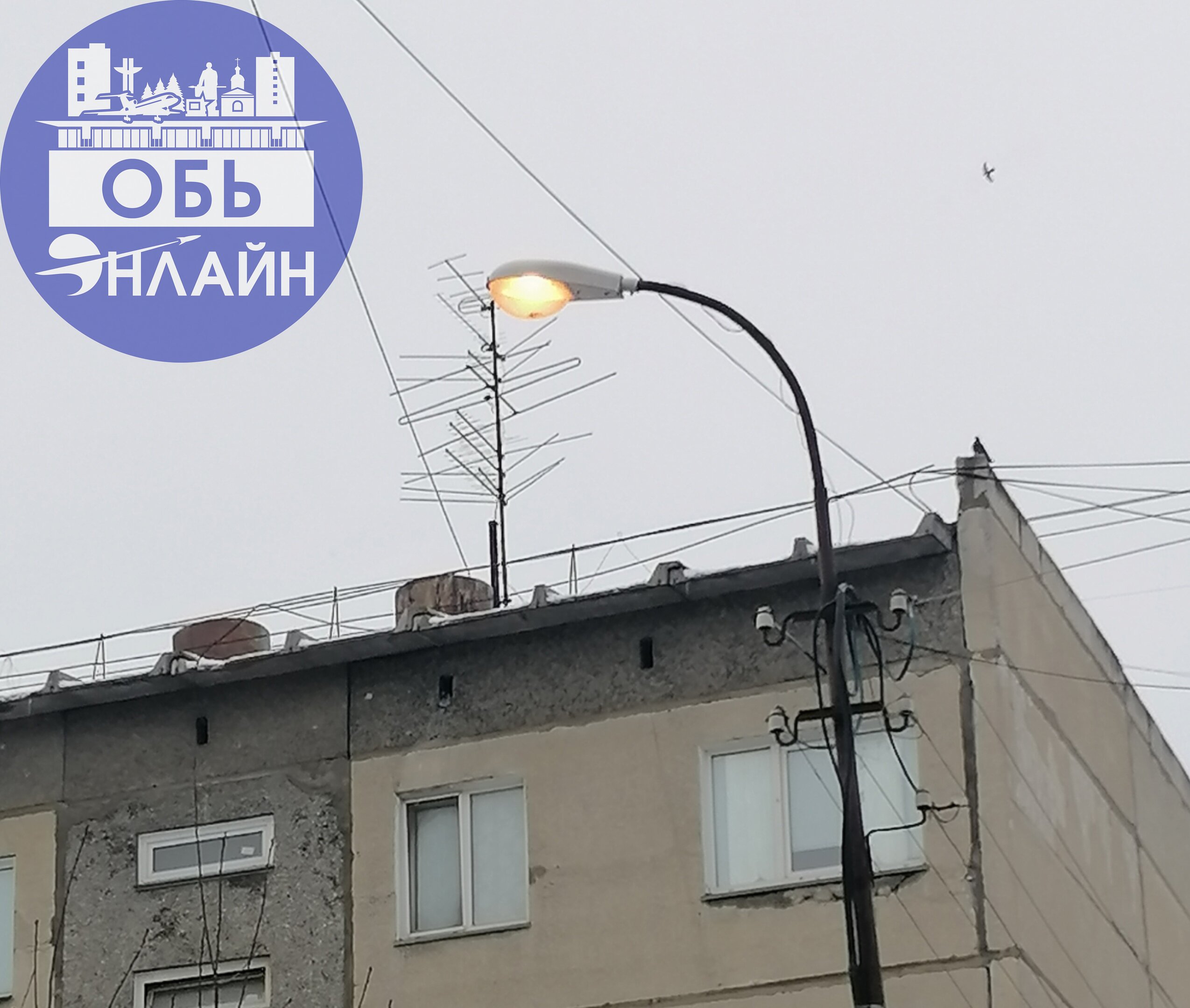 ↗ Кто жаловался на плохое освещение в оби!? Всё норм, 12 дня фонарь горит!
Анонимно
vk.com
Подробнее на https://vk.com/ob.gorod
#городобь #городобьонлайн #толмачево | Сетка — социальная сеть от hh.ru