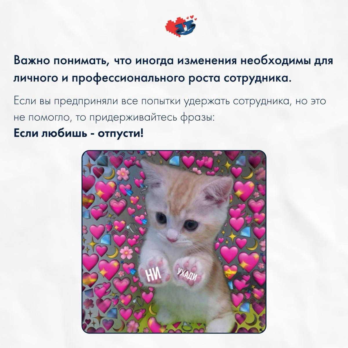Если любишь – отпусти 💔
Как удержать ключевых сотрудников? – один из популярных вопросов в современных реалиях.
💡 По данным опроса сервиса «Работа | Сетка — социальная сеть от hh.ru