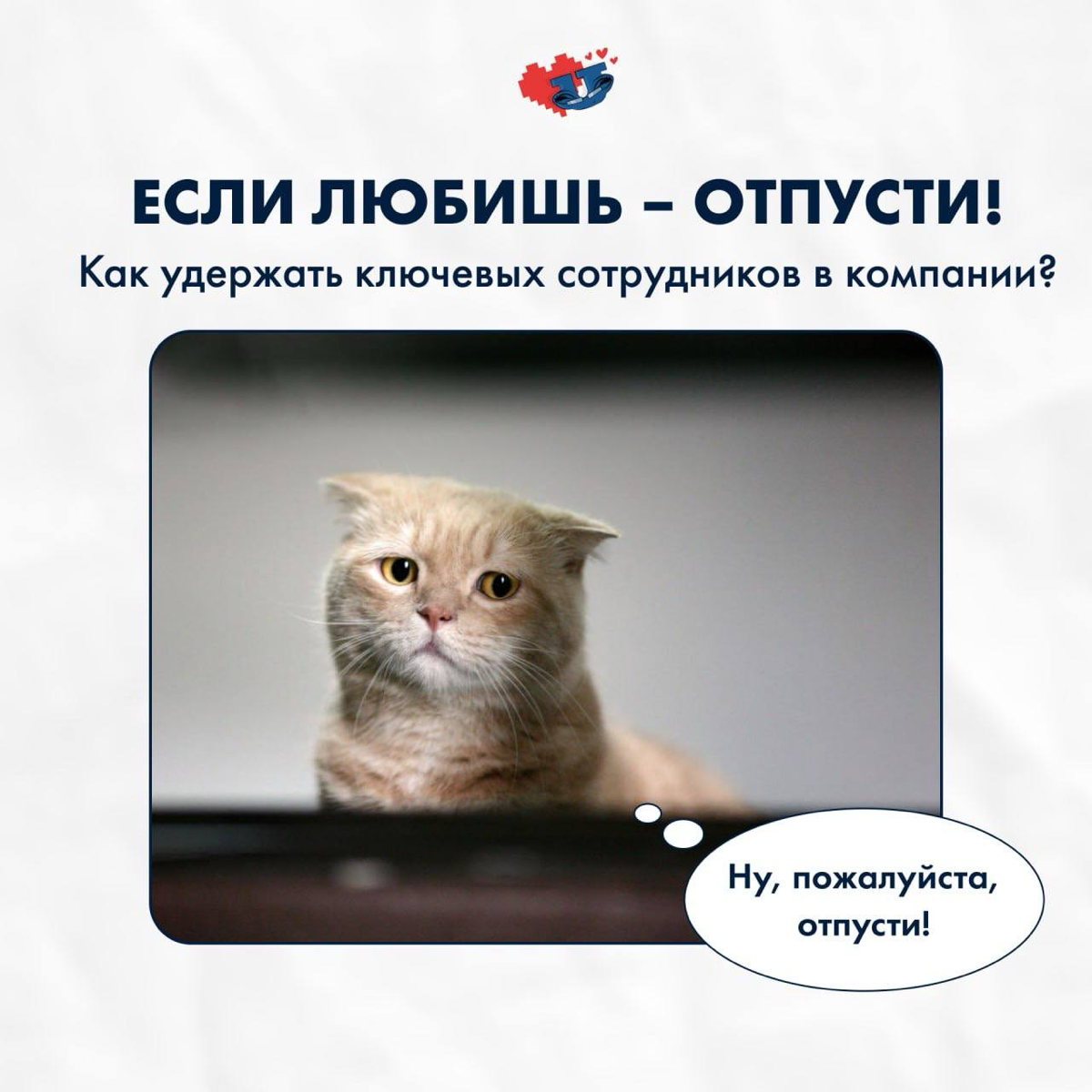Если любишь – отпусти 💔
Как удержать ключевых сотрудников? – один из популярных вопросов в современных реалиях.
💡 По данным опроса сервиса «Работа | Сетка — социальная сеть от hh.ru