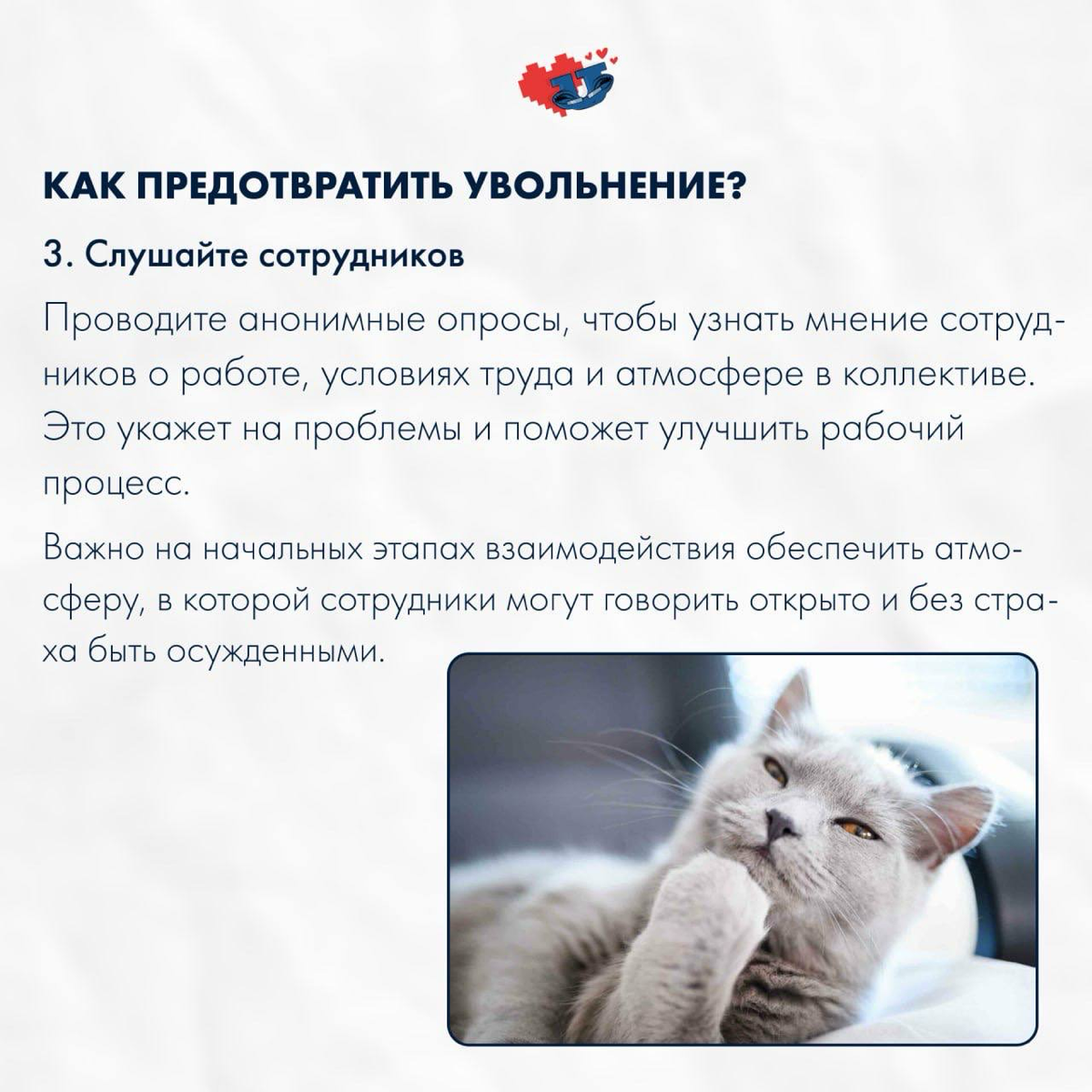 Если любишь – отпусти 💔
Как удержать ключевых сотрудников? – один из популярных вопросов в современных реалиях.
💡 По данным опроса сервиса «Работа | Сетка — социальная сеть от hh.ru