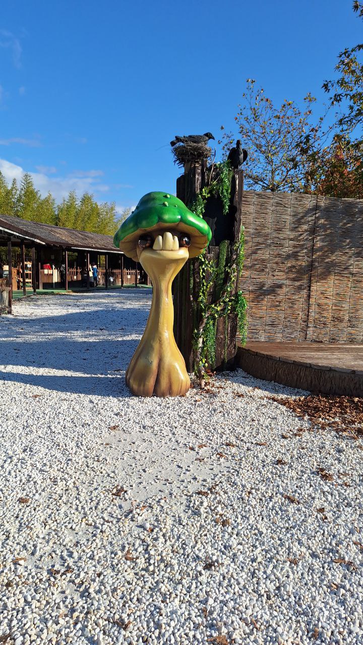 Ну что, дорогие, я уже на Урале, села разбирать фото | Сетка — социальная сеть от hh.ru